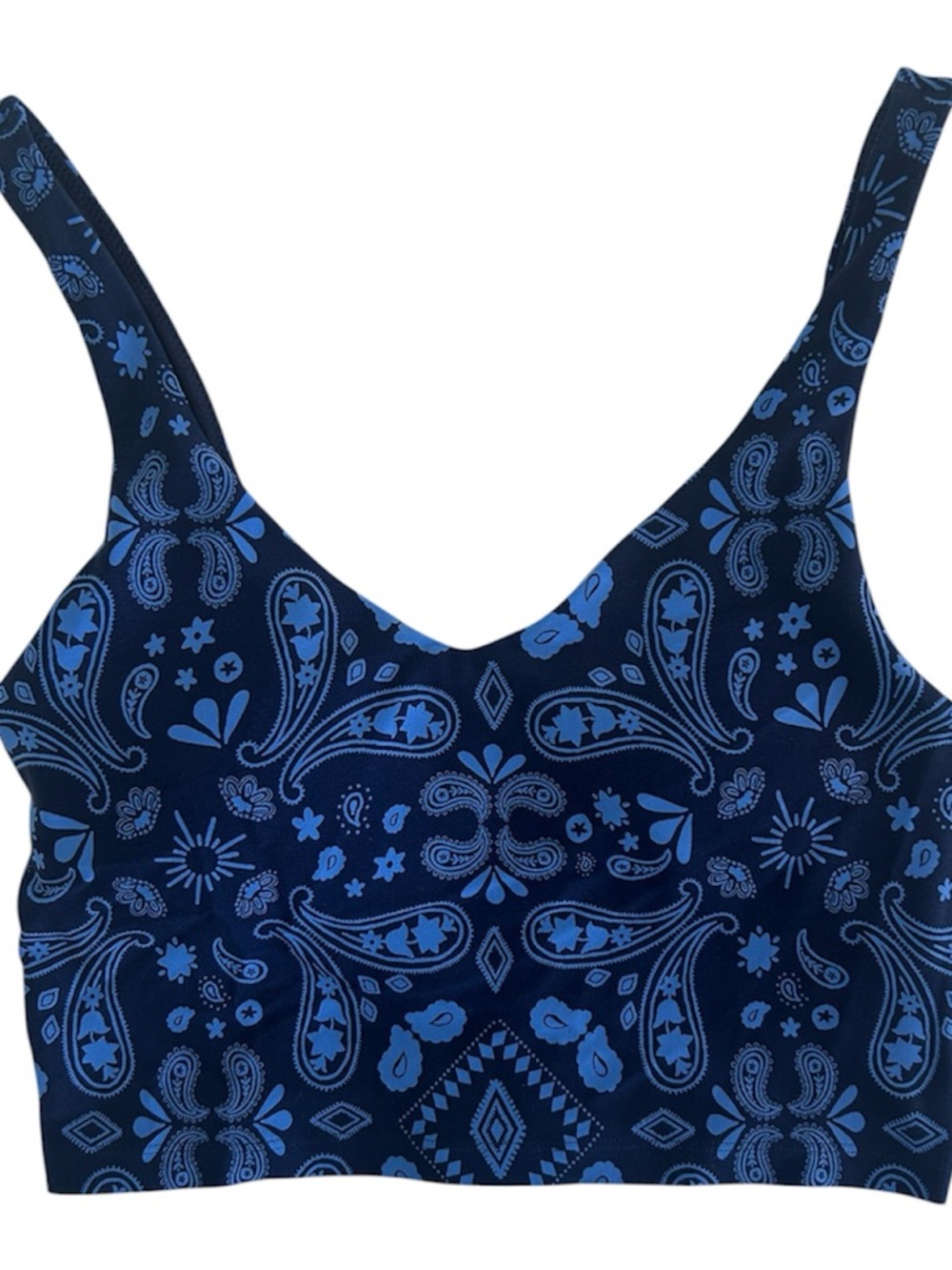 Aerie Navy & Light Blue Paisley Sports Bra